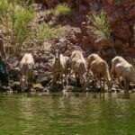 Half Day Emerald and Echo Cave Kayak Adventure - Final Thoughts