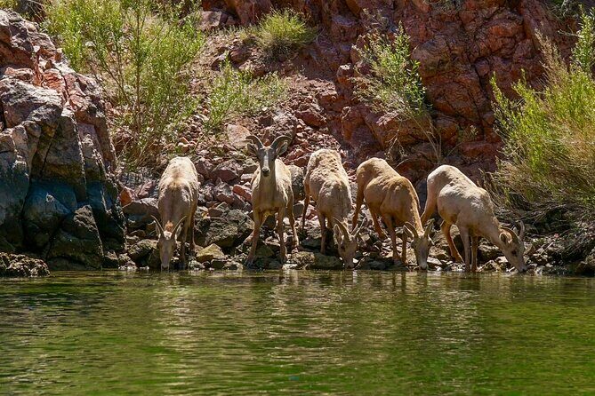 Half Day Emerald and Echo Cave Kayak Adventure - Final Thoughts