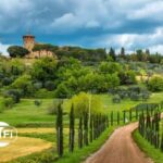 Half Day Escape to Chianti: Taste the Heart of Tuscany - An Authentic Taste of Tuscany in Just a Few Hours