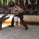 Half-Day Everglades Airboat Tours and Transportation - Final Thoughts on the Everglades Airboat Tour