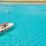 Half Day Excursion to Asinara (3h) - Exploring the Details of the 3-Hour Asinara Tour