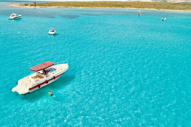 Half Day Excursion to Asinara (3h) - Exploring the Details of the 3-Hour Asinara Tour