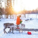 Half-Day Experience in Local reindeer farm in Lapland - Why This Tour Is Worth It