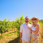 Half-day Experience to San Gimignano Hills with Picnic and Wine - The Wine and Picnic Experience
