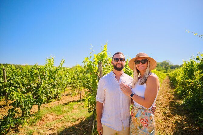 Half-day Experience to San Gimignano Hills with Picnic and Wine - The Wine and Picnic Experience
