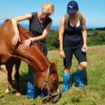 Half-Day Farm Visit and Cow Milking Experience - An In-Depth Look at the Farm Visit and Cow Milking Tour