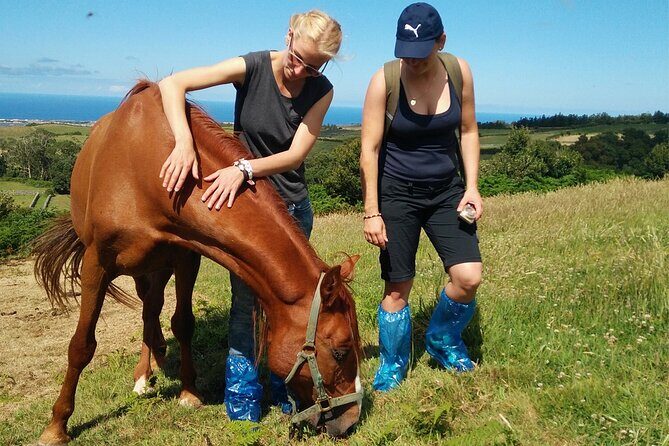 Half-Day Farm Visit and Cow Milking Experience - An In-Depth Look at the Farm Visit and Cow Milking Tour