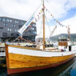 Half-Day Fishing & Fjord Cruise Adventure from Tromsø in Norway - Price and Value