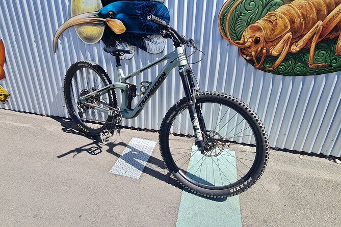 Half Day Full Suspension Acoustic Mountain Bike Rental - Practical Details and Tips