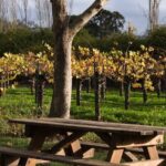 Half-Day Gramma Wine Tasting Tour in Iasi - FAQ: Your Practical Questions Answered