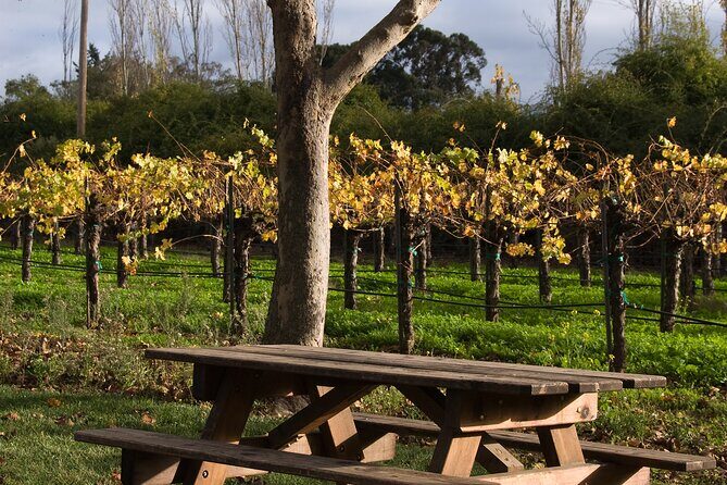 Half-Day Gramma Wine Tasting Tour in Iasi - FAQ: Your Practical Questions Answered