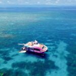 Half Day Great Barrier Reef Snorkeling Tour - FAQ