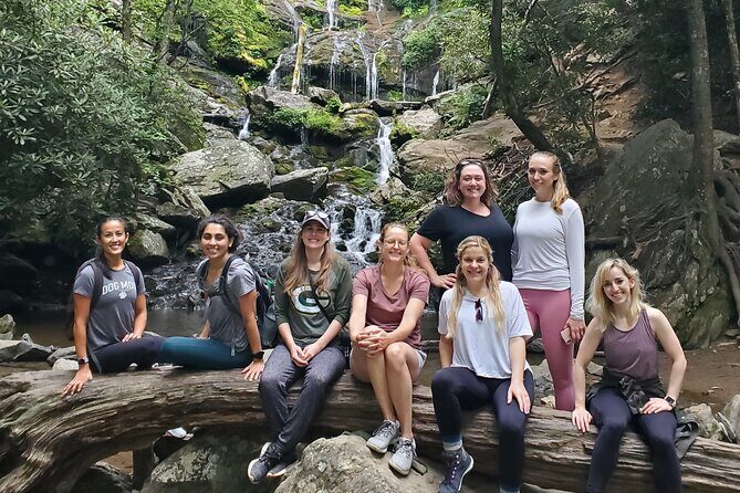 Half Day Group Waterfall Hiking Tour - Exploring Asheville’s Waterfalls: What You Can Expect