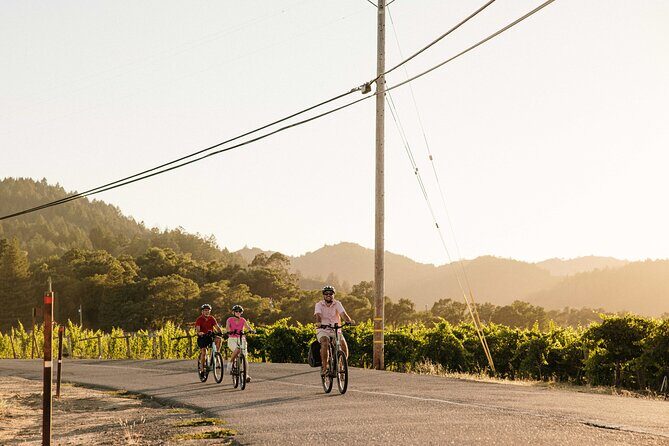 Half Day Guided Electric Bike Wine Tasting Tour with Lunch - Why This Tour Works