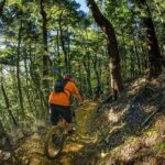 Half Day Guided Mountain Biking Adventure in Nelson - What to Expect During the Ride