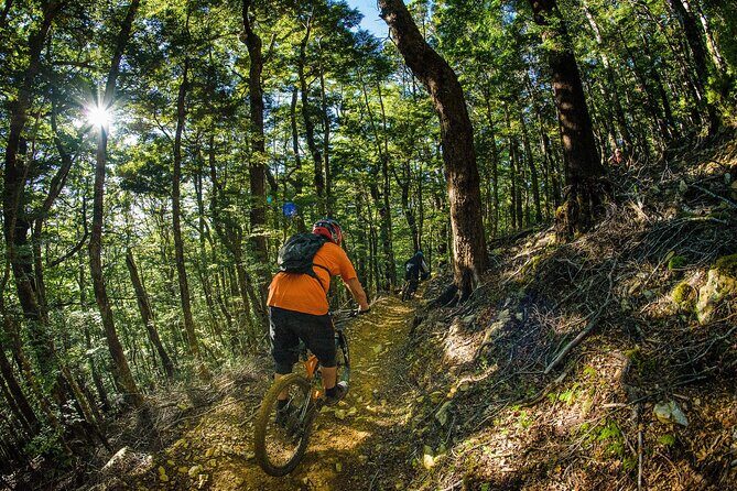 Half Day Guided Mountain Biking Adventure in Nelson - What to Expect During the Ride