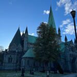 Half-Day Highlights of Trondheim by Bus and City Walk - Authentic Experiences from Reviews