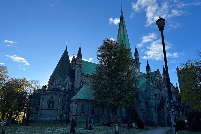 Half-Day Highlights of Trondheim by Bus and City Walk - Authentic Experiences from Reviews