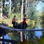 Half-day Hike & Picnic with Dog Love in Porto's Mountains - Practical Details: What You Need to Know