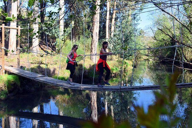 Half-day Hike & Picnic with Dog Love in Porto's Mountains - Practical Details: What You Need to Know