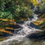 Half Day Hike - Water Falls - An In-Depth Look at the Waterfalls Hike
