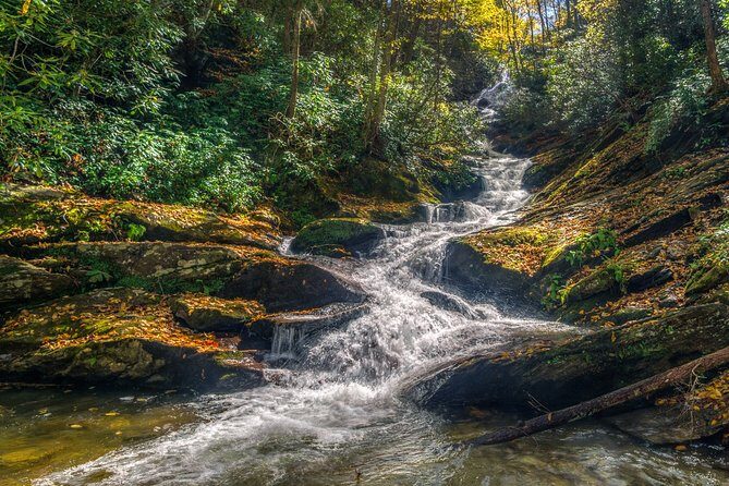Half Day Hike - Water Falls - An In-Depth Look at the Waterfalls Hike
