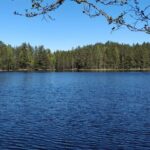 Half Day Hiking Tour in Beautiful Estonian Nature - What Reviewers Say