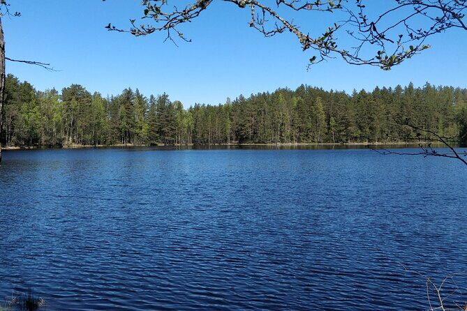 Half Day Hiking Tour in Beautiful Estonian Nature - What Reviewers Say