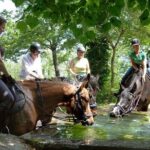 Half-Day Horseback Ride in Tuscany - Practical Information and FAQs