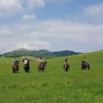 Half-Day Horseback Ride in Tuscany for beginner riders - Who Should Consider This Tour?