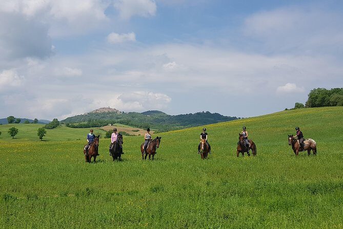 Half-Day Horseback Ride in Tuscany for beginner riders - Who Should Consider This Tour?