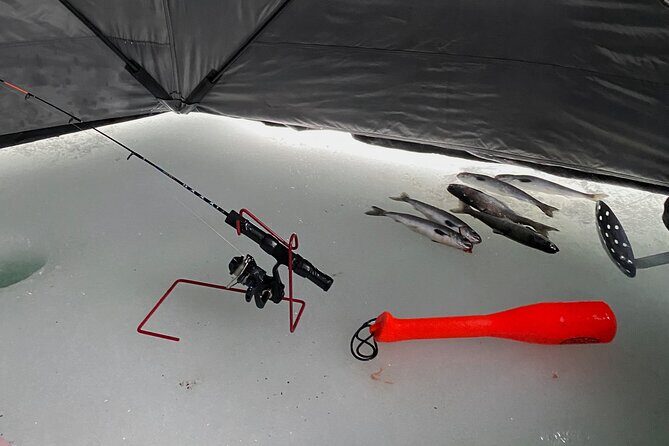 Half Day Ice Fishing Adventure in Wasilla - Exploring the Details of the Ice Fishing Experience