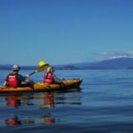 Half-Day Kayak to the Maori Rock Carvings in Lake Taupo - FAQs