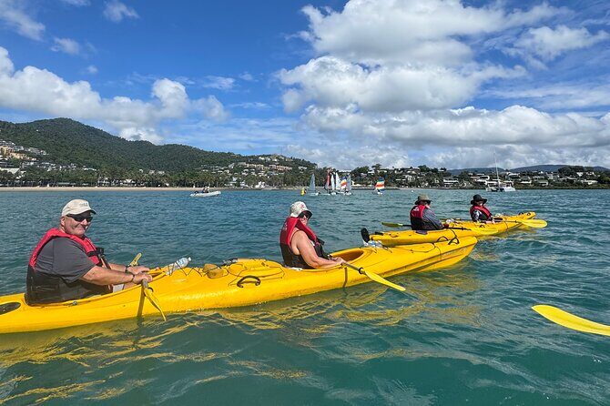 Half Day Kayak Turtle Tour - The Sum Up: Is It Worth It?