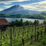 Half-Day Lake Lucerne Country Walk - Who Will Love This Tour?