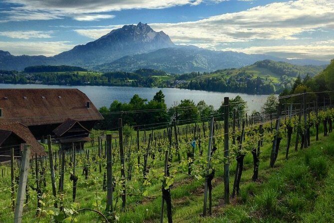 Half-Day Lake Lucerne Country Walk - Who Will Love This Tour?