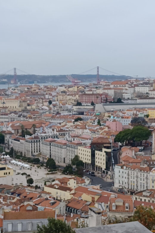 Half day Lisbon Tour Small group through the city of 7 hills - Why This Tour Offers Great Value