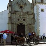 Half-day Lusitanian Horses & Photography Museum private tour - An In-Depth Look at the Tour