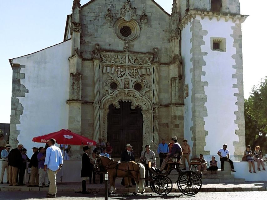 Half-day Lusitanian Horses & Photography Museum private tour - An In-Depth Look at the Tour