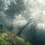 Half Day Madeira West Tour - Final Thoughts
