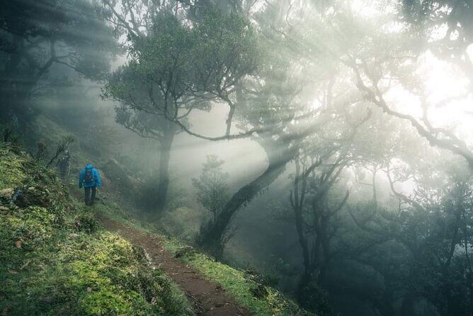 Half Day Madeira West Tour - Final Thoughts