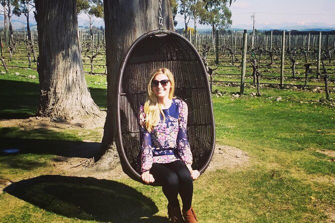 Half-Day Marlborough Wine Tour & Beer Tour - Why This Tour Works for You