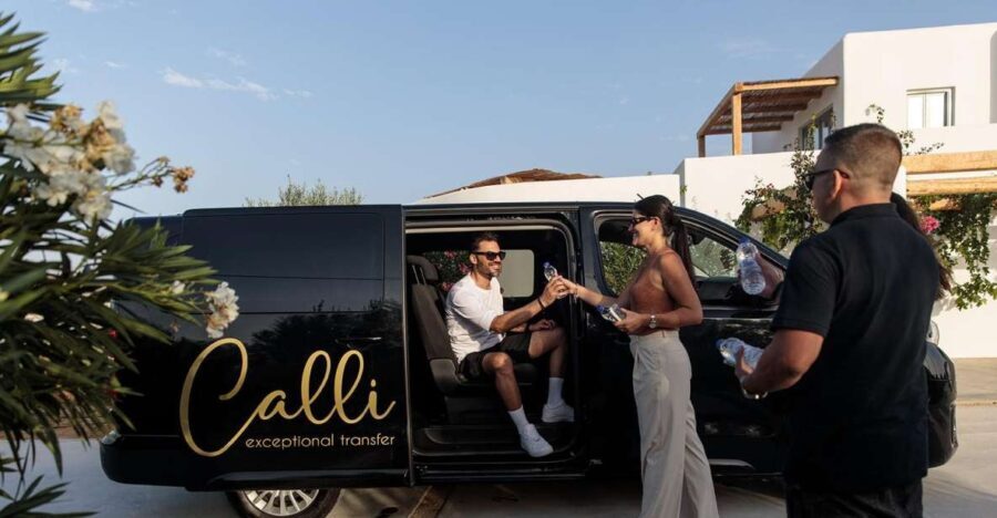 Half-Day Minivan Rental with Driver - A Closer Look at the Half-Day Minivan Rental Experience in Naxos