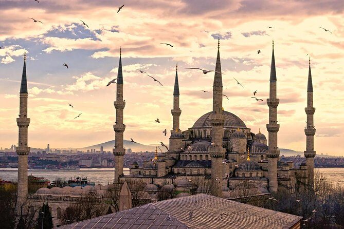 Half Day Morning Istanbul Old City Tour - What Travelers Say: Real Experiences