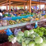Half Day Nadi Tour incls Sri Siva Temple, Orchid Gardens,Local Village & Markets - Summary