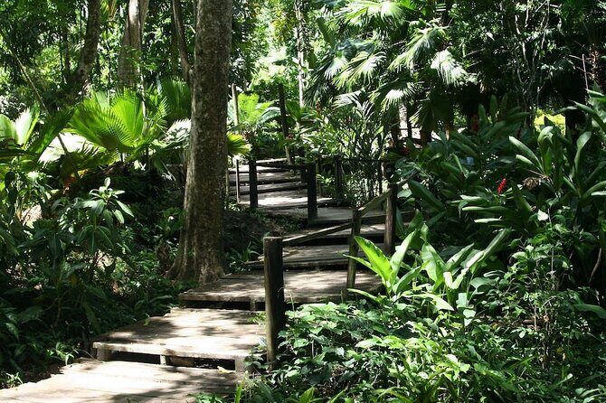 Half-Day Nadi Tour: Lookout, Temple & Village - What Travelers Say: Authentic Experiences and Knowledgeable Guides
