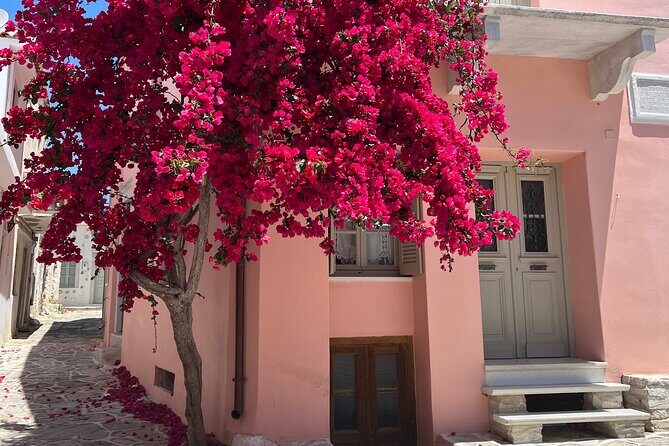 Half Day Naxos Village Private Tour - What Reviewers Say