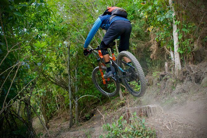 Half Day Nelson Electric Mountain Bike Rental Adventure - What to Expect During Your Ride