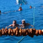 Half-Day Odyssey Guided Boat Safari with Lunch in Cyprus - Practical Tips for Travelers