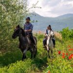 Half-Day of Horseback Adventure with Wine Tasting - A Detailed Look at the Half-Day Horseback Adventure with Wine